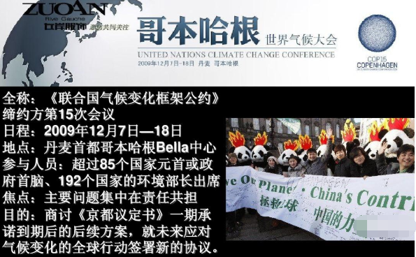 柴静怎么了（央视主持人柴静跌落神坛原因）