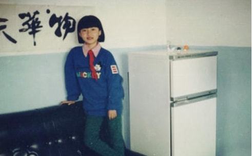 柴静怎么了（央视主持人柴静跌落神坛原因）