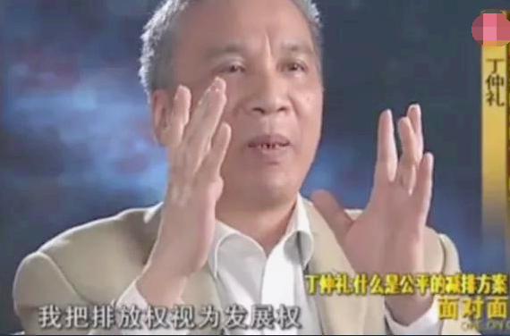 柴静怎么了（央视主持人柴静跌落神坛原因）