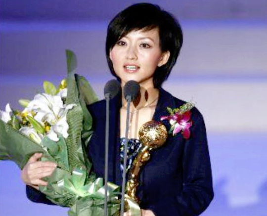 柴静怎么了（央视主持人柴静跌落神坛原因）