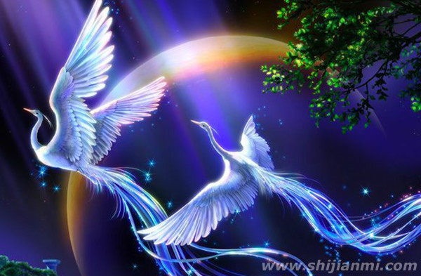 古代五凤指的是什么?传说中的五凤图片(鸑鷟身为黑或紫色的凤凰)