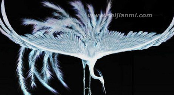 古代五凤指的是什么?传说中的五凤图片(鸑鷟身为黑或紫色的凤凰)