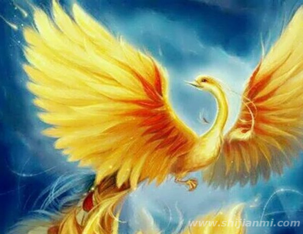 古代五凤指的是什么?传说中的五凤图片(鸑鷟身为黑或紫色的凤凰)