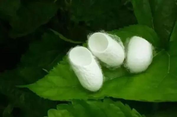 小满是什么时候_小满习俗