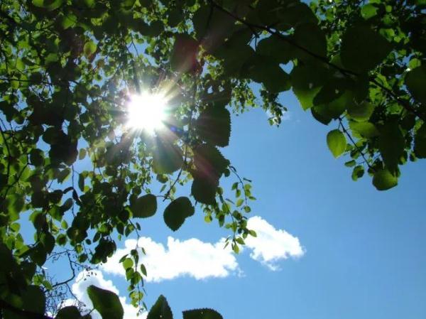 小满是什么时候_小满习俗