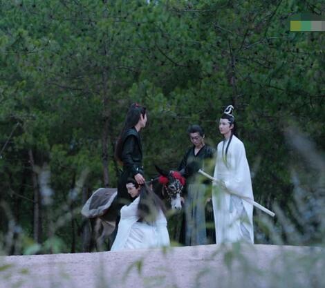 陈情令蓝思追抱魏无羡大腿 小时候的阿苑终于回来了