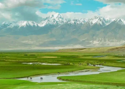 ​新疆的特产详细介绍（新疆地方6大特产盘点）