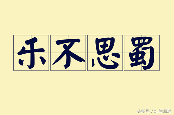 乐不思蜀的主人公是谁 _三国成语故事