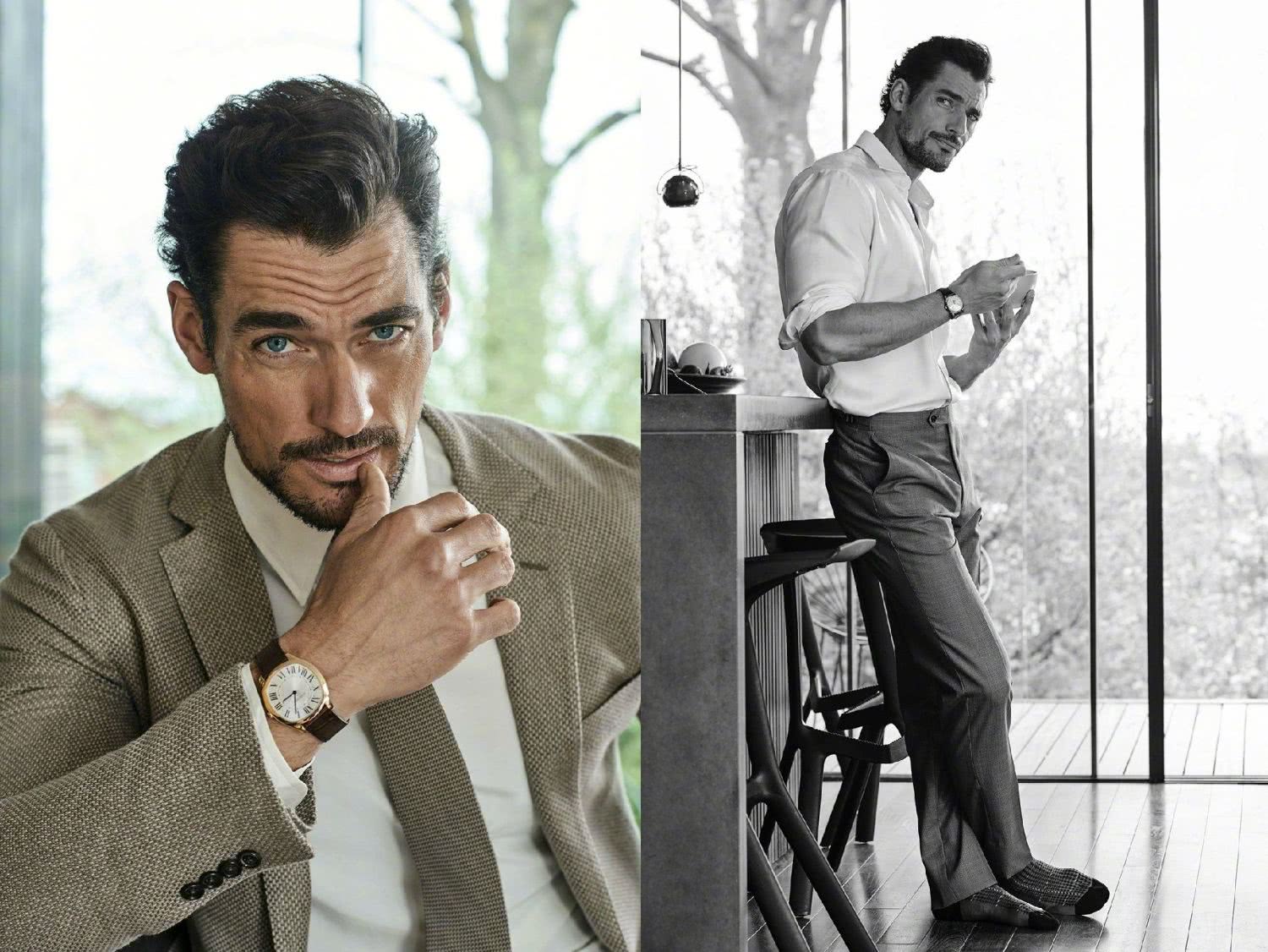 大卫·甘迪个人资料写真作品