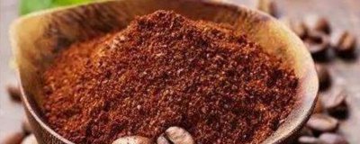 ​暖宝宝里面的黑色粉末可以养花吗