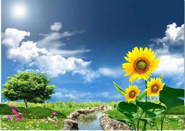 二女儿打一字_脑筋急转弯起源