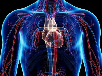 ​任督二脉(真的有人打通任督二脉吗？)