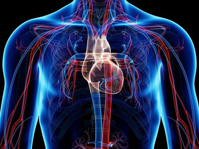 任督二脉(真的有人打通任督二脉吗？)