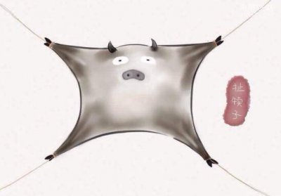 ​犊子是什么意思(东北话犊子是什么意思？)