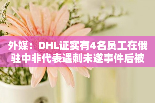 外媒：DHL证实有4名员工在俄驻中非代表遇刺未遂事件后被捕