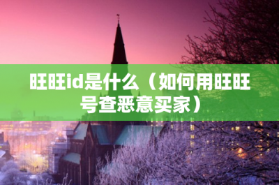 ​旺旺id是什么（如何用旺旺号查恶意买家）