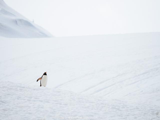 相机光圈范围多少合适（相机里的曝光标尺）(3)