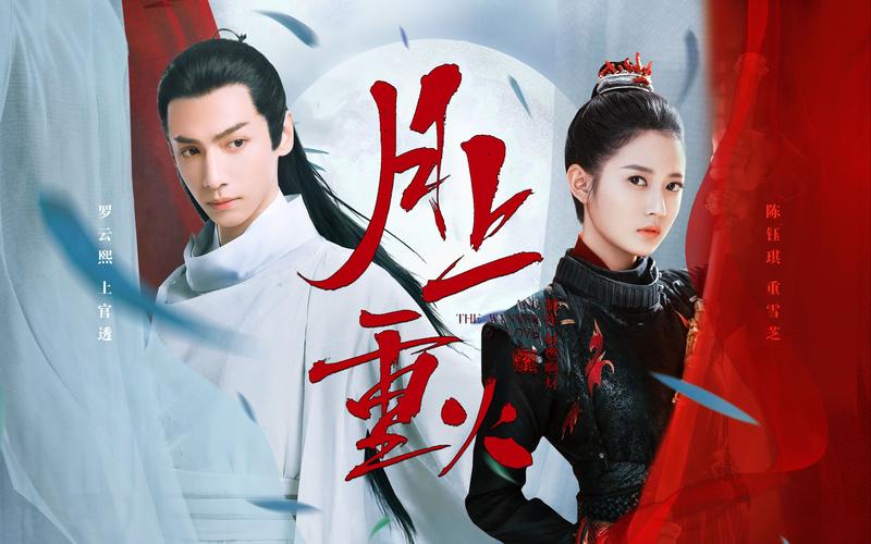 月上重火电视剧一共多少集（电视剧内容介绍）