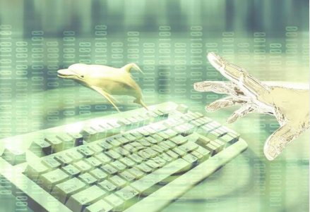 拼多多800的破解办法(拼多多领红包的活动怎么操作)