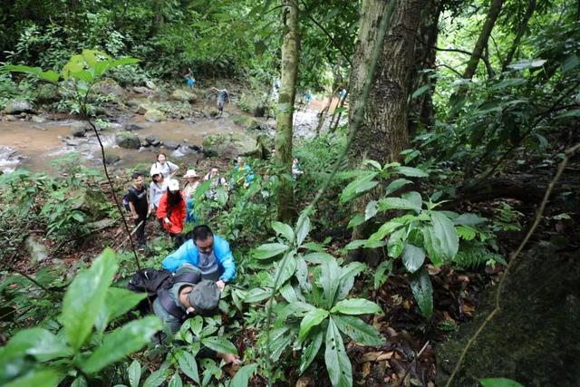 西双版纳适合冬天玩吗（西双版纳夏季高温难耐不适合旅游）(7)
