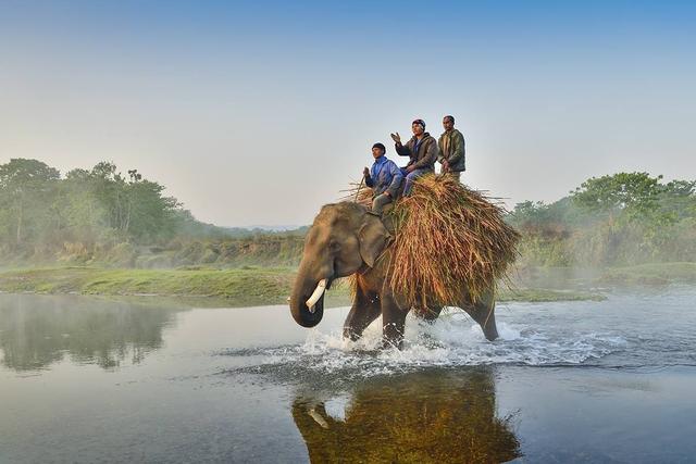 尼泊尔旅游攻略价格表（尼泊尔旅游攻略）(9)