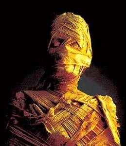 木乃伊是什么东西做成的(木乃伊制作过程全揭秘)(2)