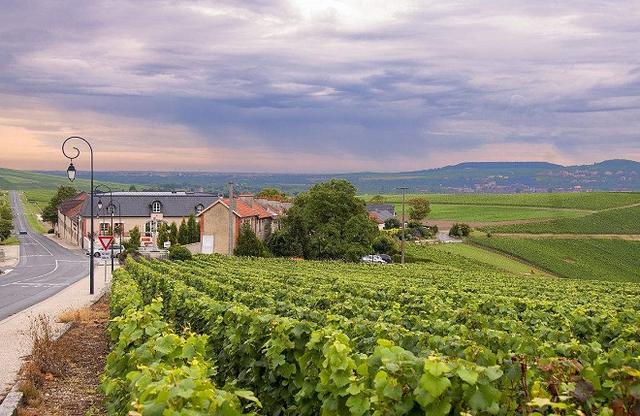 地中海气候是什么气候特征（你熟知的地中海气候）(5)