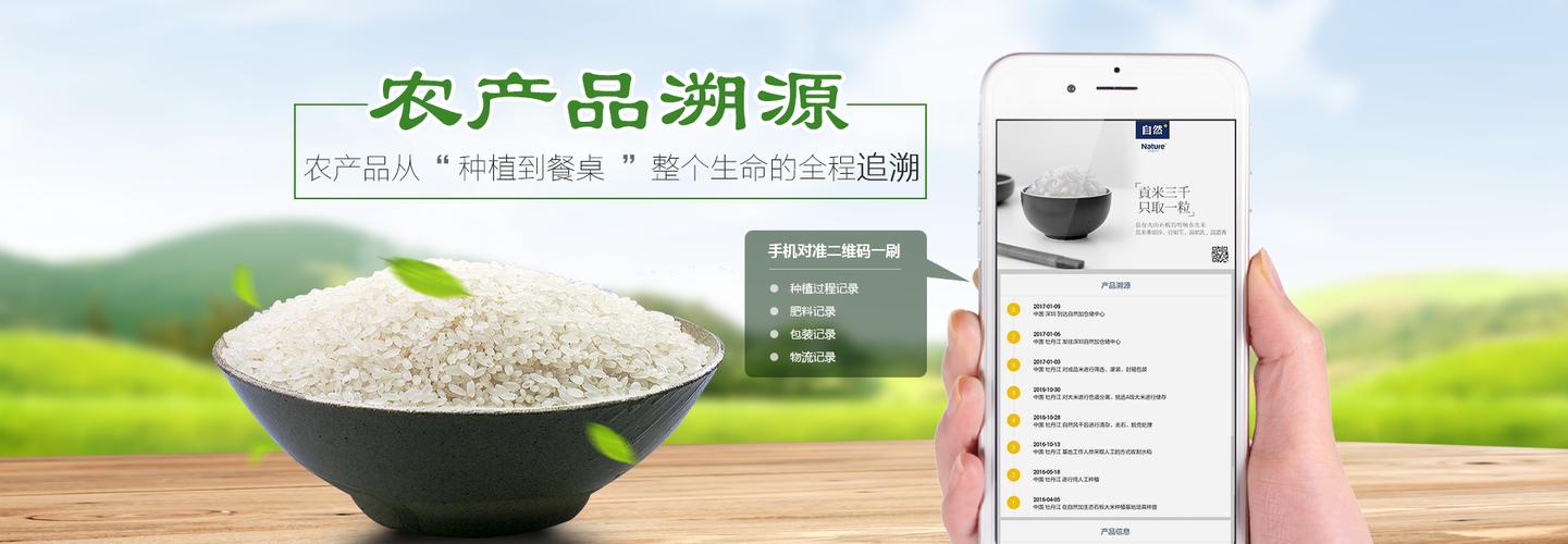 追溯是什么意思（词语追溯什么意思）