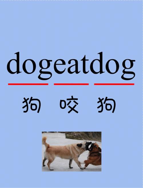 dog是什么意思（dog怎么解释）