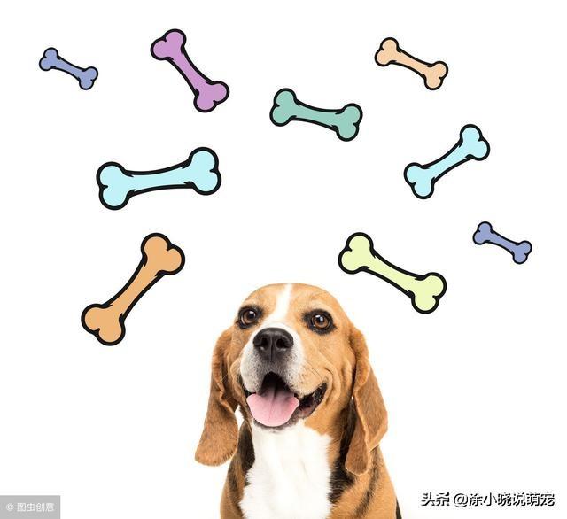 狗狗犬瘟热的晚期症状是什么(犬瘟热你了解多少)(7)