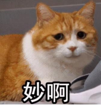 白百何电视剧定档(白百何新剧扑街)(43)