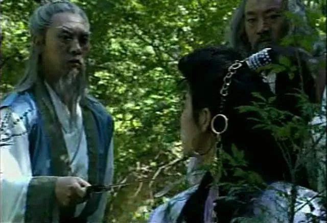 白眉大侠电视剧有几部（武侠剧白眉大侠播出26年）(7)