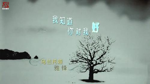 你对我好我心里都知道是什么歌(爸爸妈妈听我说歌词)