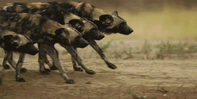 豆瓣的电影评分现在都不可信了吗（豆瓣9.4残忍到震撼）(34)