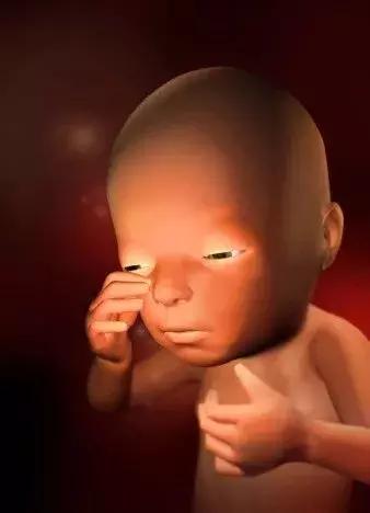 高龄产子蔡少芬为什么愿意生三胎(46岁蔡少芬再度怀孕)(12)