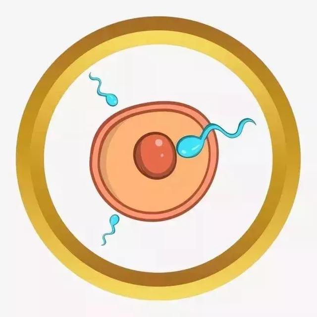 高龄产子蔡少芬为什么愿意生三胎(46岁蔡少芬再度怀孕)(4)