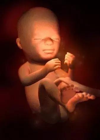 高龄产子蔡少芬为什么愿意生三胎(46岁蔡少芬再度怀孕)(10)