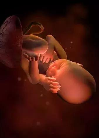 高龄产子蔡少芬为什么愿意生三胎(46岁蔡少芬再度怀孕)(13)