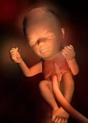 高龄产子蔡少芬为什么愿意生三胎(46岁蔡少芬再度怀孕)(11)