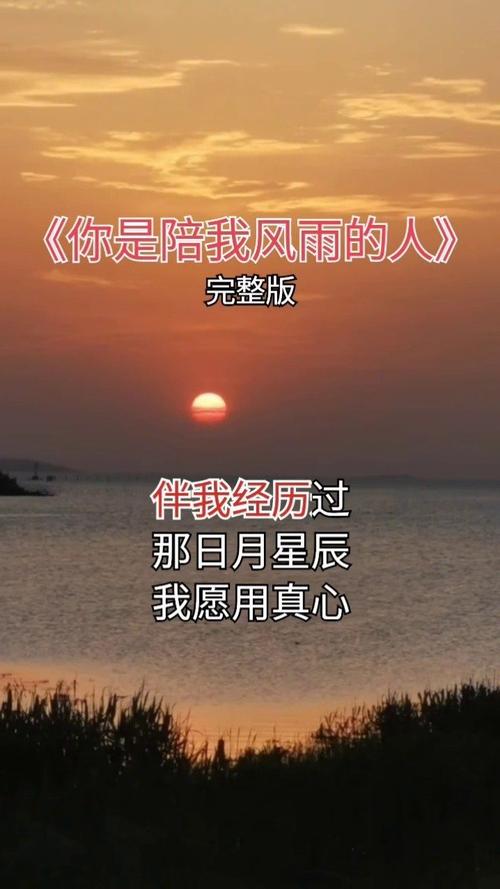 你是陪我走过风雨的人是什么歌(你是陪我走过风雨的人是什么的歌介绍)