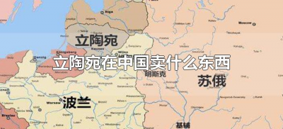 ​立陶宛在中国卖什么东西（立陶宛有什么卖来中国的）