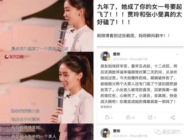 贾玲电影票房成绩不俗（第一次当导演就捧闺蜜演女主）(12)