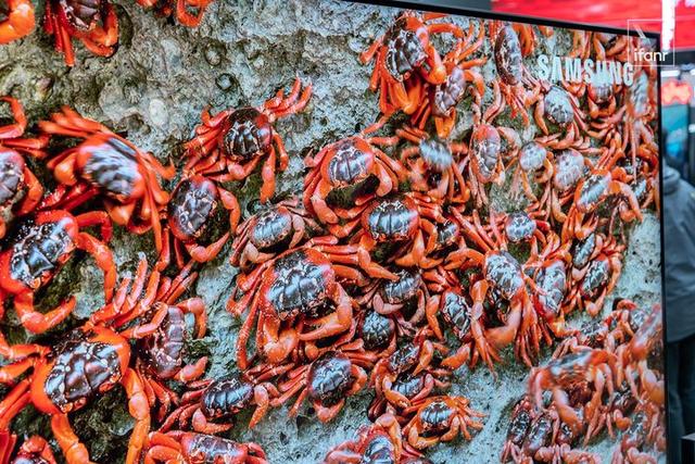 三星4k电视怎么选择（我们体验到了首款三星）(15)