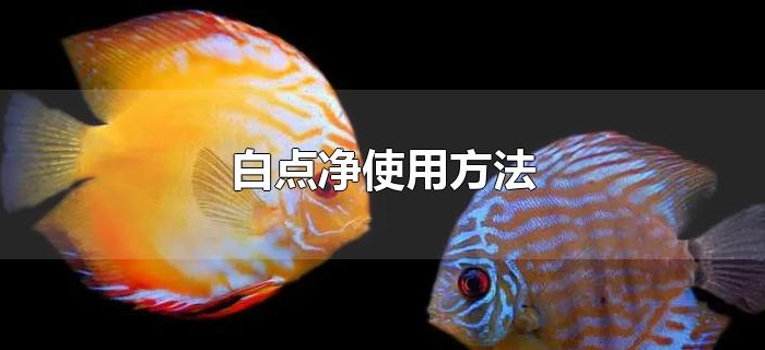 白点净使用方法 白点净使用方法