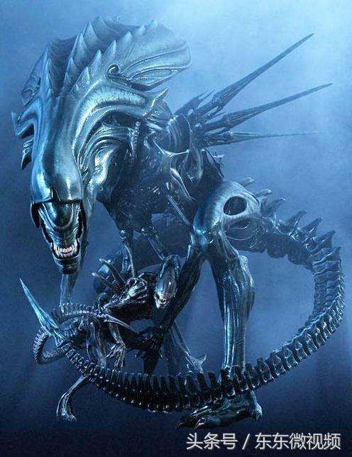 异形电影到底讲的什么（异形进化史大解析）(15)