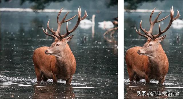 常见logo设计方法(标志不会做一张图教你完美logo设计教程)(5)