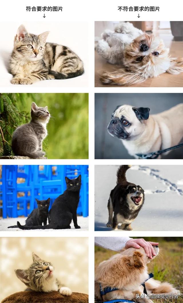 常见logo设计方法(标志不会做一张图教你完美logo设计教程)(3)