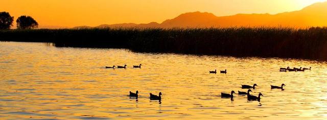 最好玩的京郊旅游(春日打卡京郊最美景点详细攻略)(1)