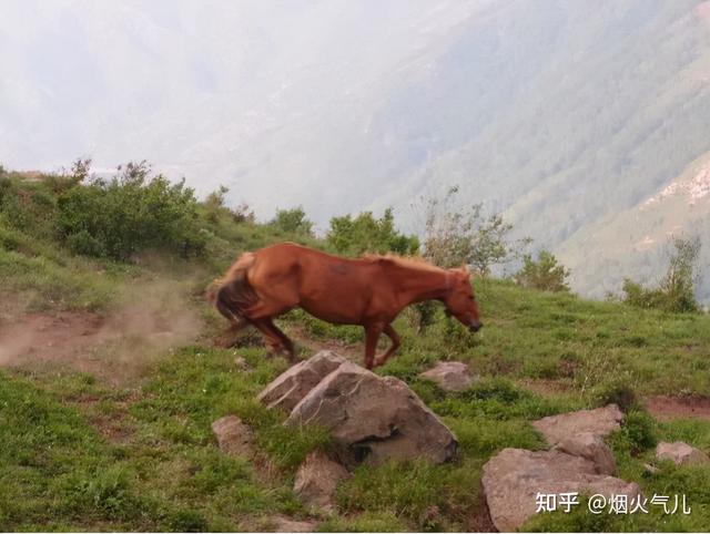 最好玩的京郊旅游(春日打卡京郊最美景点详细攻略)(4)