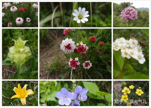 最好玩的京郊旅游(春日打卡京郊最美景点详细攻略)(3)